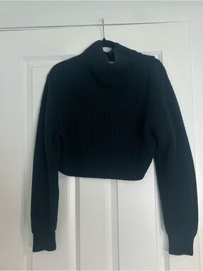 Wilfred Black Cropped Ribbed Turtleneck Sweater